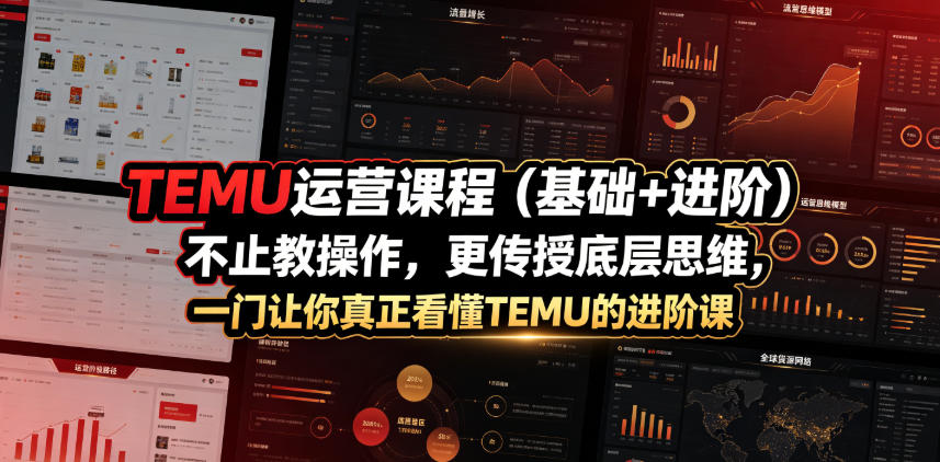 TEMU运营课程(基础+进阶)，不止教操作，更传授底层思维，一门让你真正看懂TEMU的进阶课-悟思笔记，一个低调的学习营。