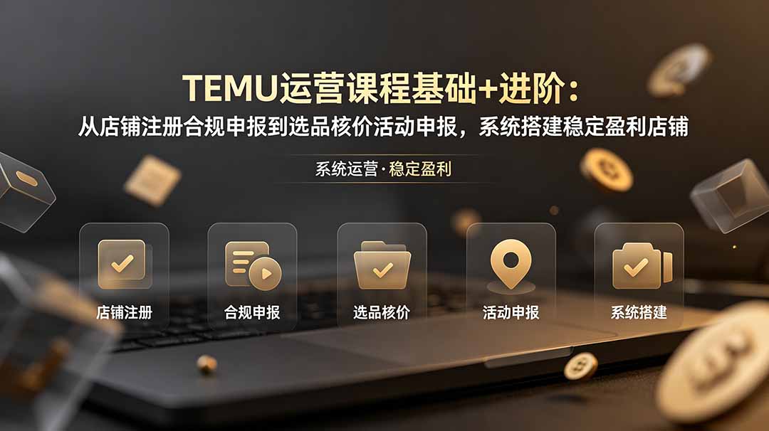 TEMU运营课程(基础+进阶-悟思笔记，一个低调的学习营。