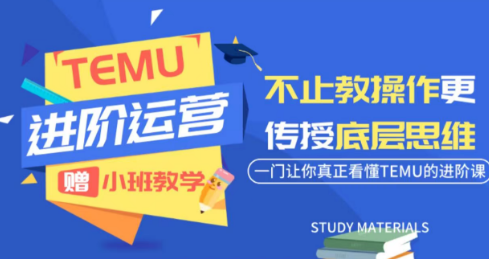 阿卡林·TEMU运营课程(基础+进阶)-悟思笔记，一个低调的学习营。