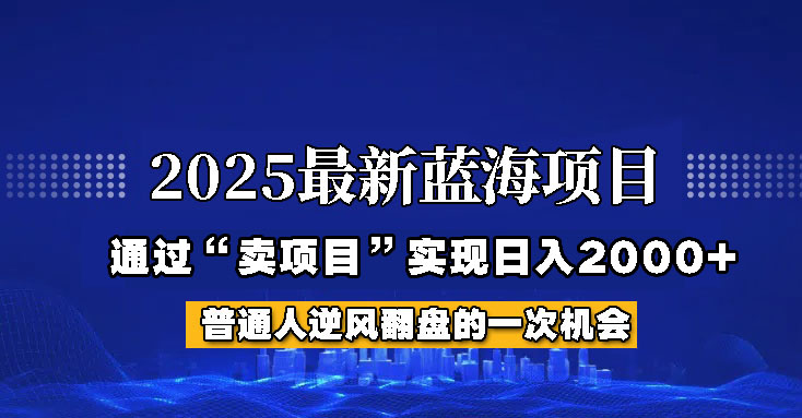 2025年蓝海项目，如何通过“网创项目”日入2000+-悟思笔记，一个低调的学习营。