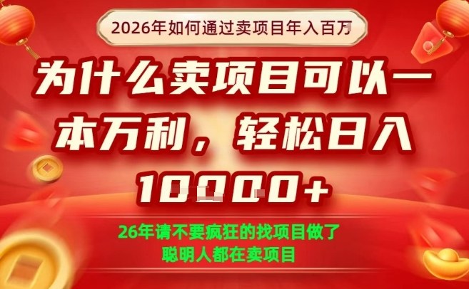 一单净利润1K+，26年想年入100个W，死磕卖项目就够了【揭秘】-悟思笔记，一个低调的学习营。