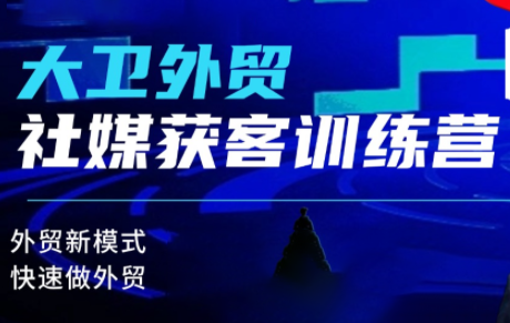 大卫老师·外贸社媒获客独家训练营(更新10月)-悟思笔记，一个低调的学习营。