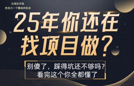 25年，你还在疯狂的找项目吗？别傻了，看完这个你都懂了【揭秘】-悟思笔记，一个低调的学习营。
