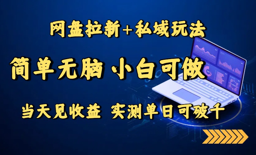 网盘拉新+私域玩法，简单无脑，小白可做，当天见收益，实测单日可破千-悟思笔记，一个低调的学习营。
