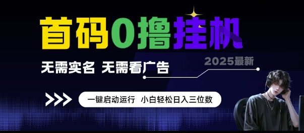 首码0撸挂G项目，无需实名无需看广告 一键启动运行，小白轻松日入三位数【揭秘】-悟思笔记，一个低调的学习营。