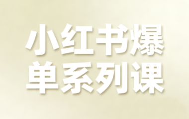 尼采老师·小红书爆单系列课-悟思笔记，一个低调的学习营。