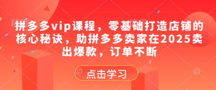 拼多多vip课程，零基础打造店铺的核心秘诀，助拼多多卖家在2025卖出爆款，订单不断-悟思笔记，一个低调的学习营。
