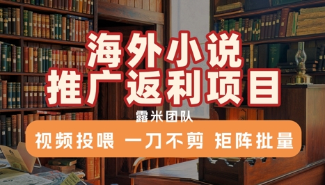 海外小说推广返利项目，视频投喂， 一刀不剪，矩阵批量-悟思笔记，一个低调的学习营。