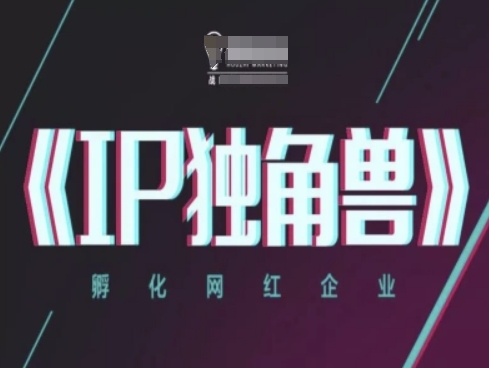 IP独角兽，孵化网红企业，ip教程-悟思笔记，一个低调的学习营。