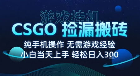 8月最新游戏搬砖，CSGO纯挂G，不需要玩游戏，实现真挂G，月入1W+【揭秘】-悟思笔记，一个低调的学习营。
