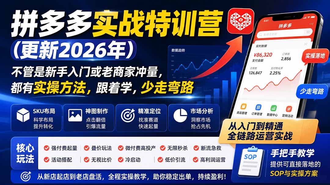 拼多多实战特训营(更新26年0821-悟思笔记，一个低调的学习营。