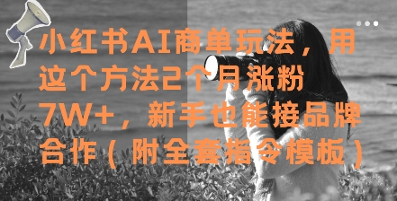 小红书AI商单玩法，用这个方法2个月涨粉7W+，新手也能接品牌合作(附全套指令模板)-悟思笔记，一个低调的学习营。