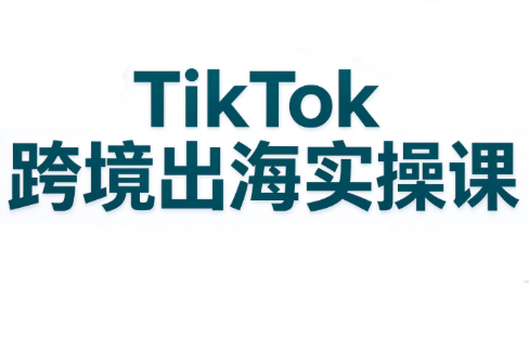 彭老师·TikTok跨境出海实操课-悟思笔记，一个低调的学习营。