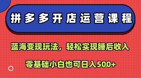 拼多多开店运营课程：蓝海变现玩法，轻松实现睡后收入，零基础小白也可日入5张-悟思笔记，一个低调的学习营。