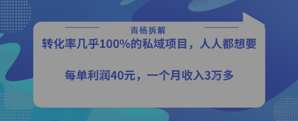 转化率最高的私域项目，每单利润40-50米，月入过1w-悟思笔记，一个低调的学习营。