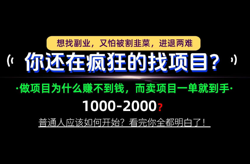 你还在疯狂的找项目？别傻了！卖项目才是真正的一本万利！怎么做，看完你全都明白！【揭秘】-悟思笔记，一个低调的学习营。