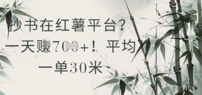 抄书在小红薯平台？平均一单30米，一天收益几张！-悟思笔记，一个低调的学习营。