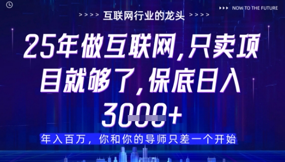 什么！25年你还在找项目做？风口早就变了，卖项目才是稳挣不赔【揭秘】-悟思笔记，一个低调的学习营。