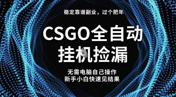 【稳定副业】全球最热门游戏CSGO全自动捡漏，最新玩法，新手小白日入5张+【揭秘】-悟思笔记，一个低调的学习营。