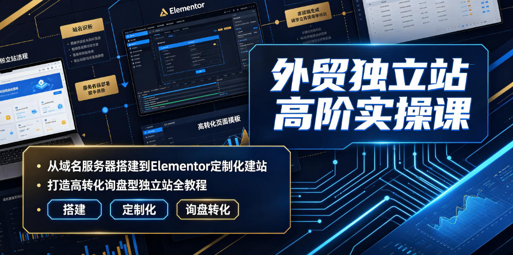外贸独立站高阶实操课｜从域名服务器搭建到Elementor定制化建站，打造高转化询盘型独立站全教程-悟思笔记，一个低调的学习营。