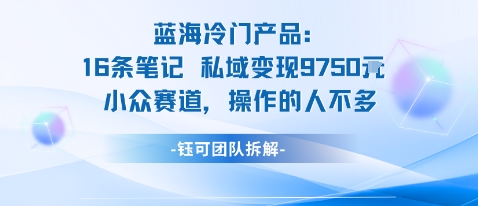 蓝海项目：16条笔记私域变现9750米小众赛道操作的人不多-悟思笔记，一个低调的学习营。