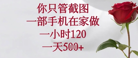 你只管截图，一部手机在家做，苹果安卓都可以，一小时120，一天5张+【揭秘】-悟思笔记，一个低调的学习营。