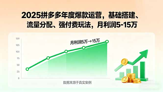 2025拼多多年度爆款运营，基础搭建、流量分配、强付费玩法，月利润5-15万-悟思笔记，一个低调的学习营。