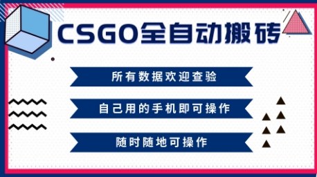 CSGO全自动搬砖，年底钱回家好项目，当天可拿到结果，新手小白轻松月入1W+【揭秘】-悟思笔记，一个低调的学习营。