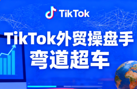 TikTok外贸操盘手(更新11月)-悟思笔记，一个低调的学习营。