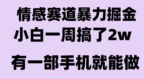 情感暴力掘金项目，新人操作一周挣了2W，长期稳定小白可做【揭秘】-悟思笔记，一个低调的学习营。