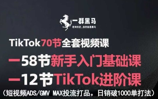 TikTok全套视频课，新手入门+进阶课，短视频ADS-GMV MAX投流打品，日销破1000单打法-悟思笔记，一个低调的学习营。