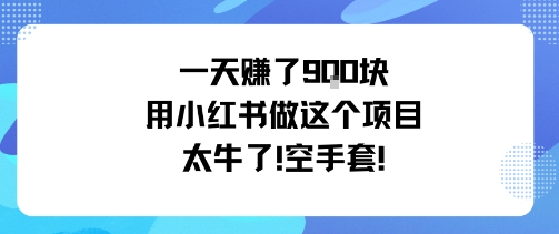 一天挣了9张用小红书做这个项目太牛了，空手套-悟思笔记，一个低调的学习营。