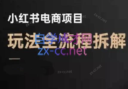 菲菲老师·小红书电商玩法(更新7月)-悟思笔记，一个低调的学习营。