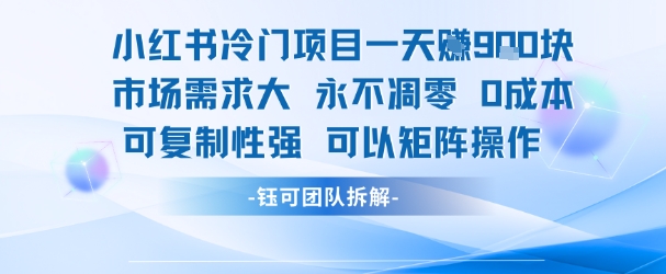 小红书冷门项目一天收益9张，市场需求大，0成本，可复制性强可以矩阵操作-悟思笔记，一个低调的学习营。