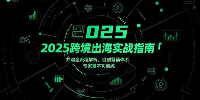 2025跨境出海实战指南，并购全流程解析，自创营销体系，专家基本功训练-悟思笔记，一个低调的学习营。