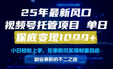 25年最新风口，视频号托管项目，单日保底变现1k+，手把手教学【揭秘】-悟思笔记，一个低调的学习营。
