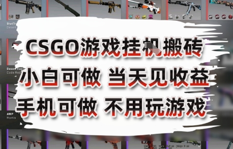 CSGO游戏挂G搬砖，小白纯手机即可操作，不用电脑打游戏，日入3张+，副业网创项目【揭秘】-悟思笔记，一个低调的学习营。