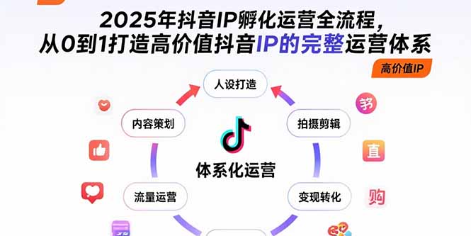 2025年抖音IP孵化运营全流程，从0到1打造高价值抖音IP的完整运营体系-悟思笔记，一个低调的学习营。