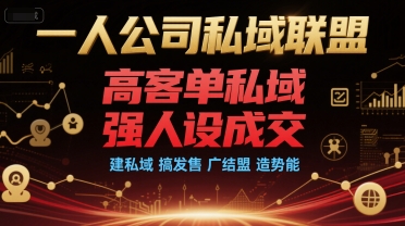 一人公司私域联盟，高客单私域，强人设成交，建私域 搞发售 广结盟 造势能-悟思笔记，一个低调的学习营。