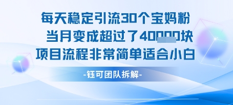 每天稳定引流30个人 当月变成超过了4个W项目流程非常简单适合小白-悟思笔记，一个低调的学习营。
