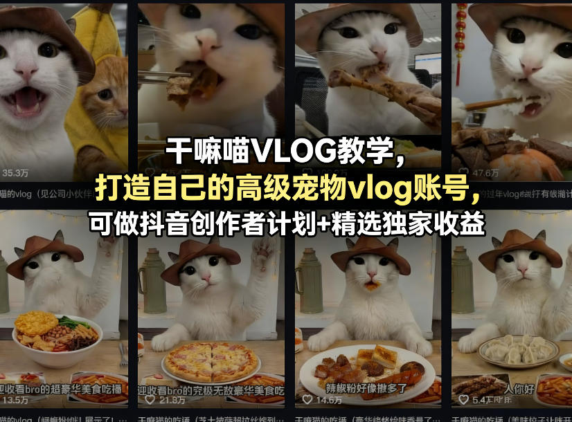 干嘛喵VLOG教学，打造自己的高级宠物vlog账号，可做抖音创作者计划+精选独家收益-悟思笔记，一个低调的学习营。