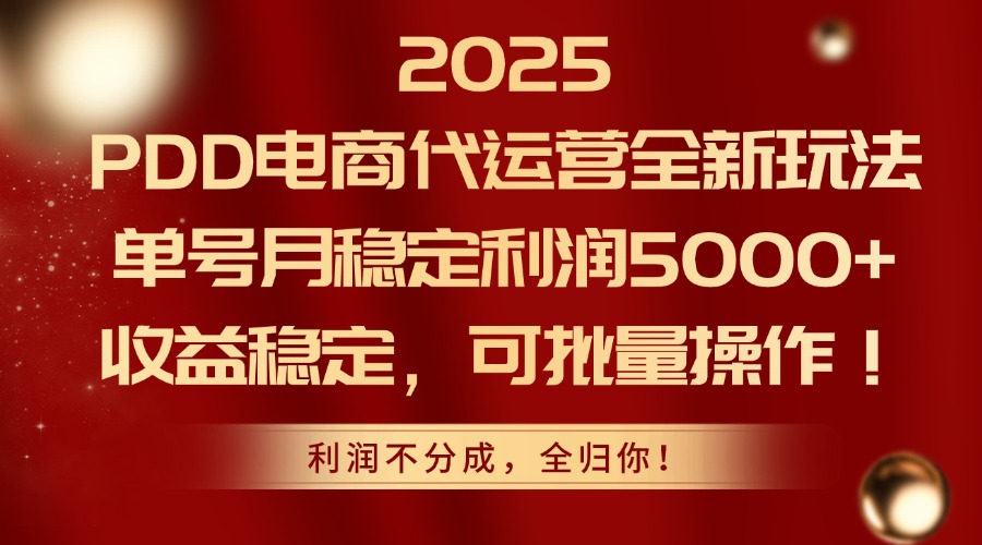 2025PDD电商代运营全新玩法，单号月稳定利润5000+，收益稳定，可批量操作-悟思笔记，一个低调的学习营。