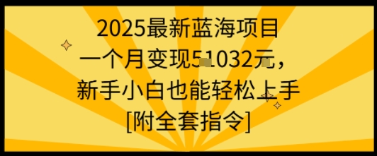 2025最新蓝海项目一个月变现1w+新手小白也能轻松上手【附全套指令】-悟思笔记，一个低调的学习营。