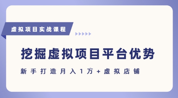 抓住虚拟项目各平台优势，新手轻松月入1W+(给出具体建议)-悟思笔记，一个低调的学习营。