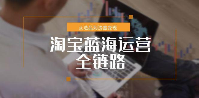 淘宝蓝海运营全链路，从选品到流量变现，小类目突围完整方案-悟思笔记，一个低调的学习营。