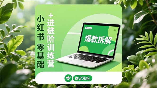 小红书零基础+高阶训练营：安全养号、爆款拆解、长效运营，实现稳定涨粉与变现-悟思笔记，一个低调的学习营。