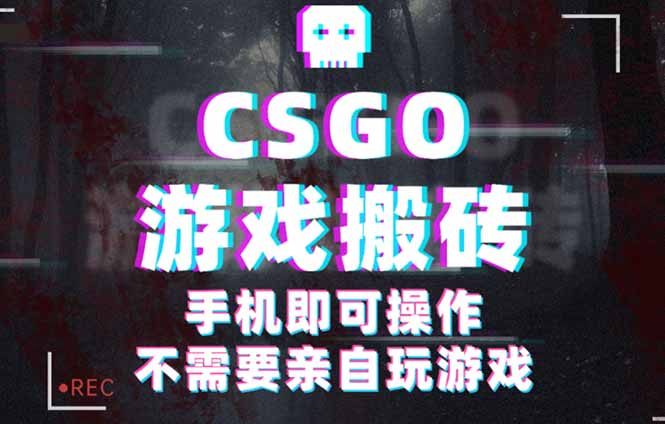 CSGO游戏挂机捡漏，单日扫货500+，年底小高峰上车可吃肉，手机即可操作…-悟思笔记，一个低调的学习营。
