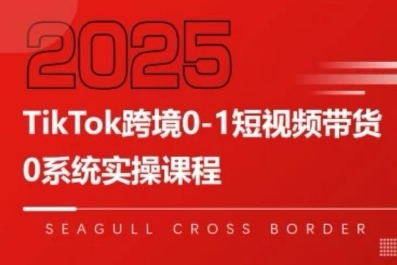 TikTok跨境0-1短视频带货，系统拆解TikTok跨境带货全链路，实现跨境可持续盈利-悟思笔记，一个低调的学习营。