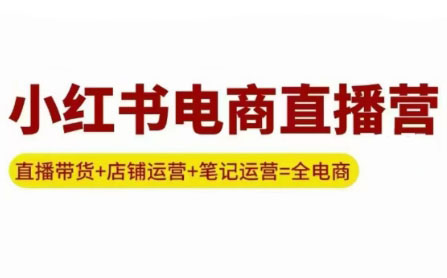 申铭老师·小红书电商直播营(更新)-悟思笔记，一个低调的学习营。