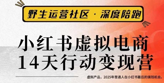 小红书虚拟电商14天变现训练营3.0，​虚拟产品，2025年普通人在小红书最后的搞钱机会-悟思笔记，一个低调的学习营。